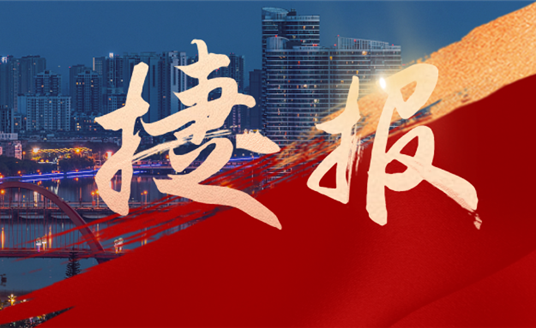 捷報速遞！華睿科技聯(lián)合華體科技中標“德陽市城市智慧路燈建設(shè)項目”